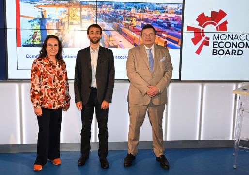 Essential insights for Monaco's global trade participants.